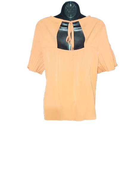 Orange Pleated Short Sleeve Milk & Honey Top - M