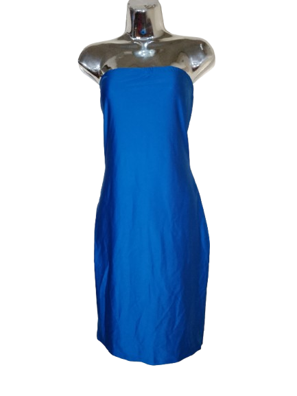 Blue Strapless Fitted Dress - 2X