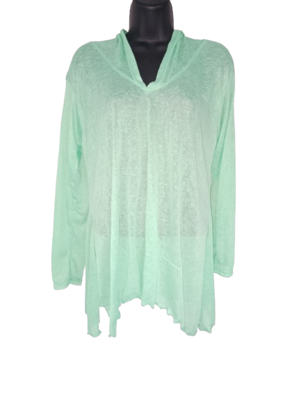Green Sheer Long Sleeve Cover-up Hoodie Top - S