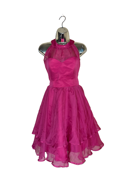 Hot Pink Sleeveless Layered Dress with Sheer Panel - M